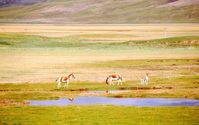 这个国内唯一敢叫板新疆、西藏的旅行地！是时候该火一次了
