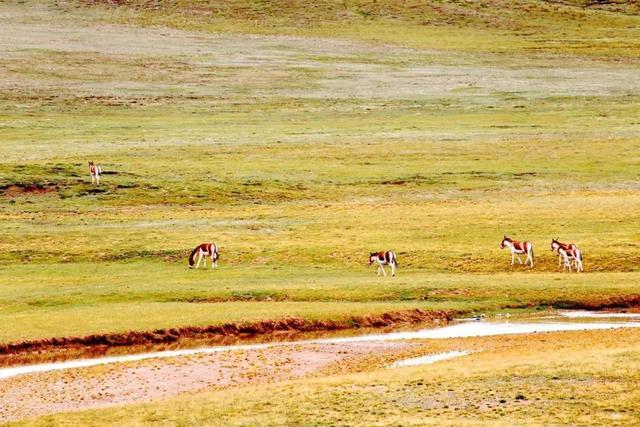这个国内唯一敢叫板新疆、西藏的旅行地！是时候该火一次了