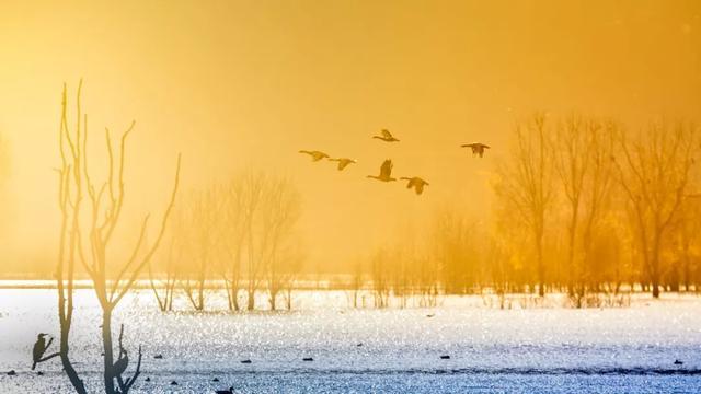 听都没听过，国内私藏的这些仙境，去过1个都算幸运了