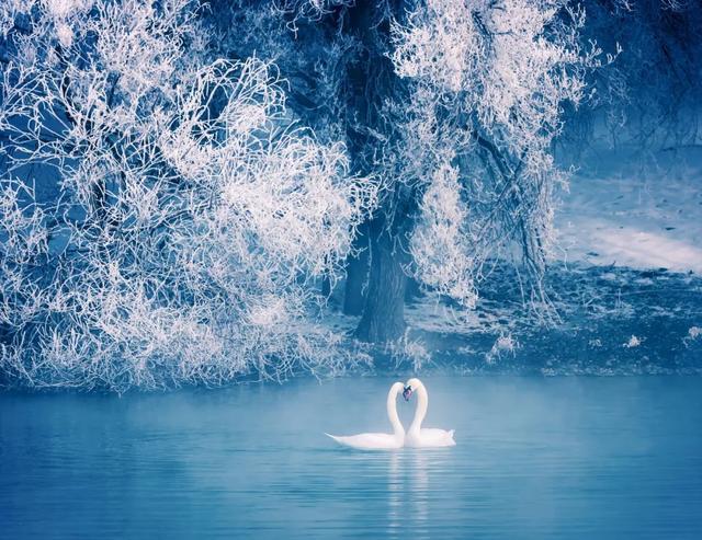 听都没听过，国内私藏的这些仙境，去过1个都算幸运了