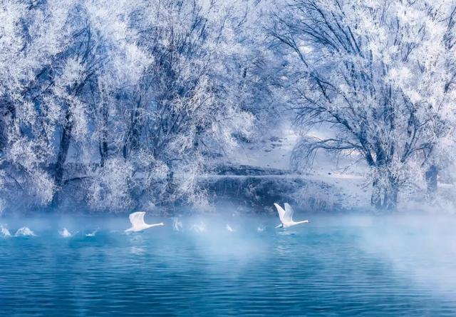 听都没听过，国内私藏的这些仙境，去过1个都算幸运了