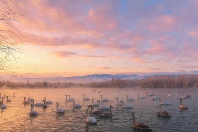 听都没听过，国内私藏的这些仙境，去过1个都算幸运了