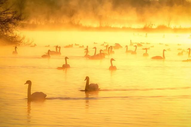 听都没听过，国内私藏的这些仙境，去过1个都算幸运了