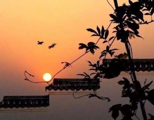 乡愁，作者：余光中