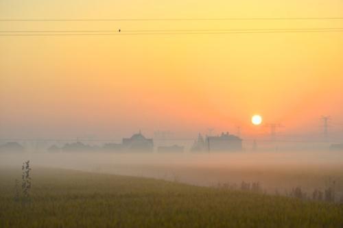 乡愁，作者：余光中