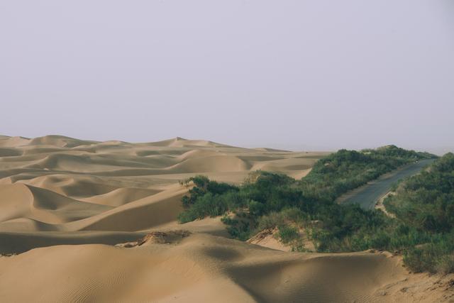 那年在南疆，我吃完了这辈子的拌面