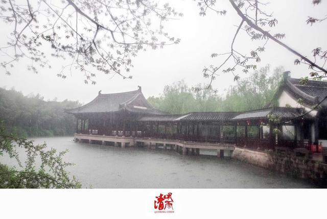 散文：素心如简，人淡如茶