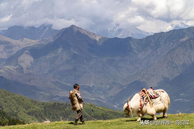 牛背山封了，四人同太苦，还好有亚洲第二360°观景平台满足一切