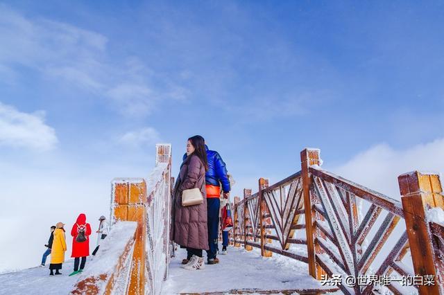 牛背山封了，四人同太苦，还好有亚洲第二360°观景平台满足一切