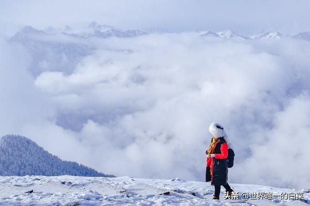 牛背山封了，四人同太苦，还好有亚洲第二360°观景平台满足一切