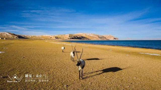 玩转西藏线路大全，高清地图赶紧MARK！