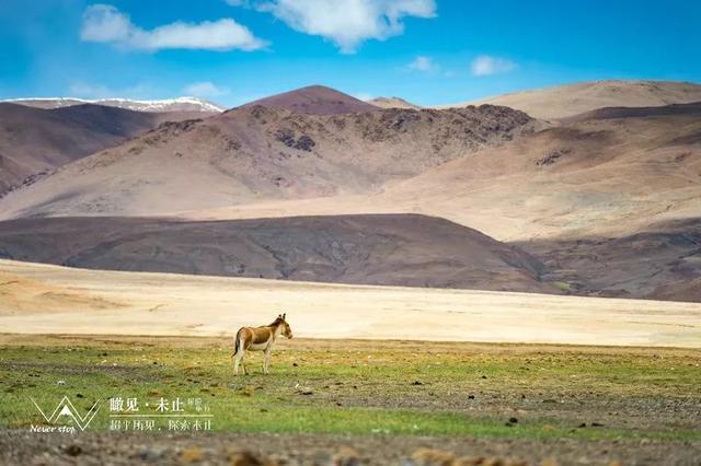 玩转西藏线路大全，高清地图赶紧MARK！