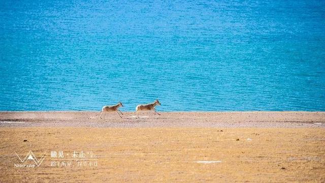 玩转西藏线路大全，高清地图赶紧MARK！