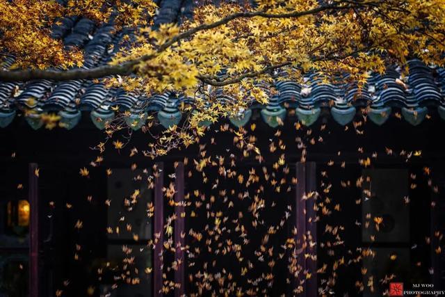 12个女人一定要去的地方，如果可以，一年旅行一次可好？