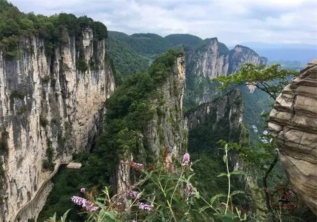 你知道恩施之巅吗，绝壁间有一条垂直狭缝，远远望着就很惊险