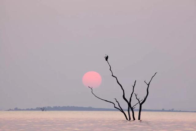 你看的顶多叫美景，这些地方才是地球上的人间仙境