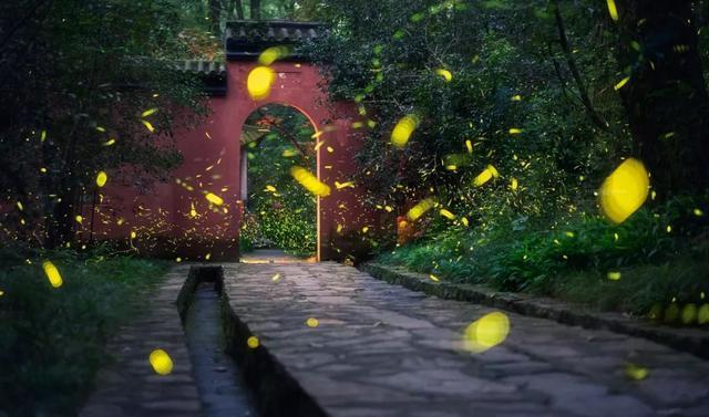 你看的顶多叫美景，这些地方才是地球上的人间仙境