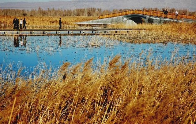 它打败了日本镰仓，一举荣获了《孤独地球》里最佳旅游地的Top 1