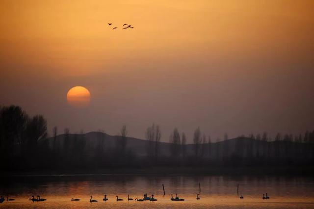 它打败了日本镰仓，一举荣获了《孤独地球》里最佳旅游地的Top 1