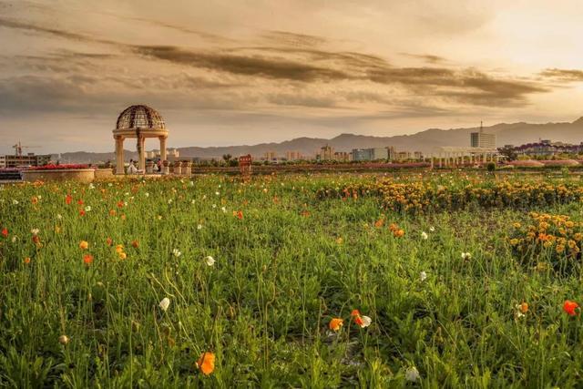 它打败了日本镰仓，一举荣获了《孤独地球》里最佳旅游地的Top 1