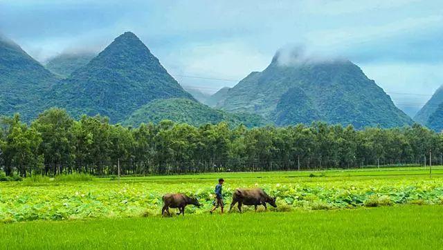普者黑丨云端里的村落·梦境中的山水