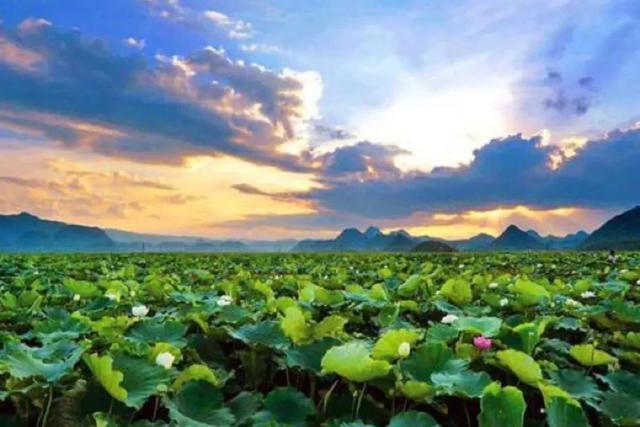 普者黑丨云端里的村落·梦境中的山水