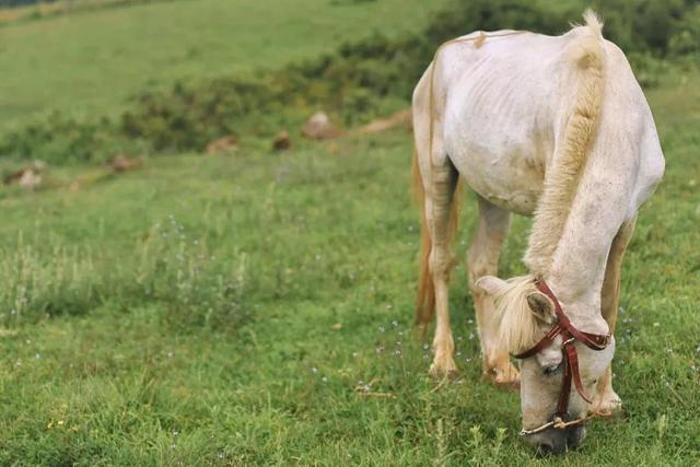 普者黑丨云端里的村落·梦境中的山水