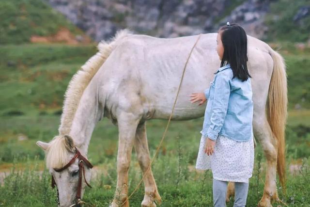 普者黑丨云端里的村落·梦境中的山水