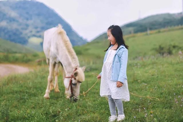 普者黑丨云端里的村落·梦境中的山水