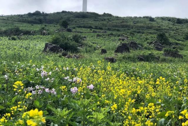 普者黑丨云端里的村落·梦境中的山水