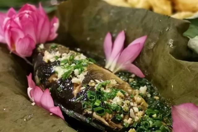 普者黑丨云端里的村落·梦境中的山水