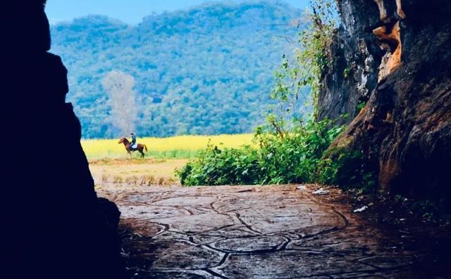 普者黑丨云端里的村落·梦境中的山水