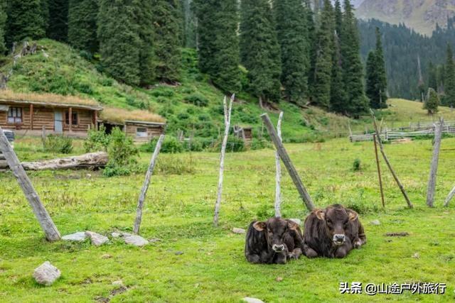没有信号的120公里，徒步天山绝美乌孙古道，迷失在人间天堂