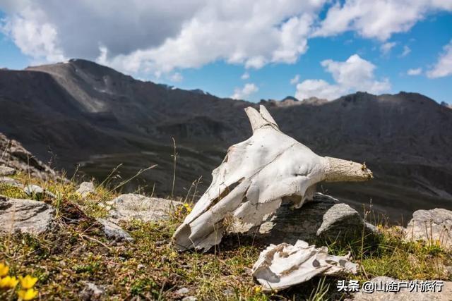 没有信号的120公里，徒步天山绝美乌孙古道，迷失在人间天堂