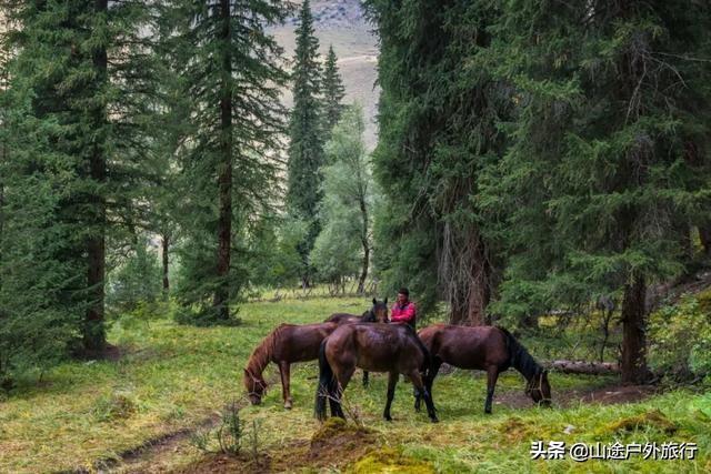 没有信号的120公里，徒步天山绝美乌孙古道，迷失在人间天堂