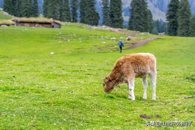 没有信号的120公里，徒步天山绝美乌孙古道，迷失在人间天堂