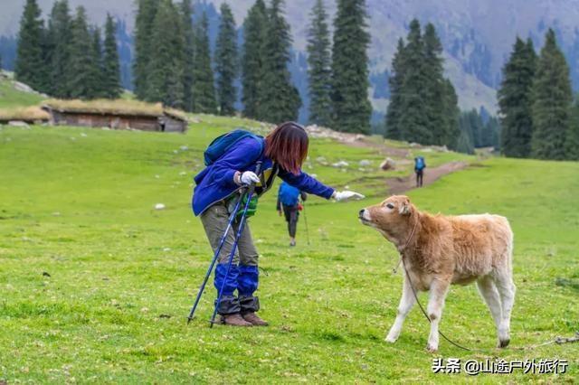 没有信号的120公里，徒步天山绝美乌孙古道，迷失在人间天堂