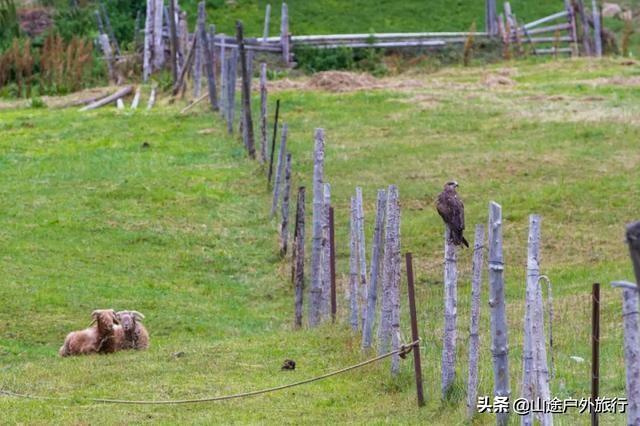 没有信号的120公里，徒步天山绝美乌孙古道，迷失在人间天堂