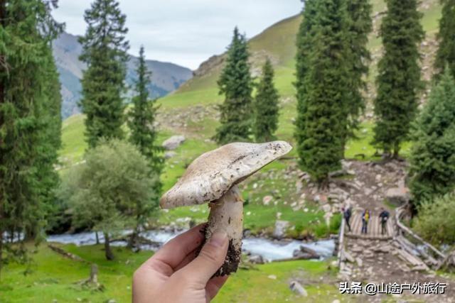 没有信号的120公里，徒步天山绝美乌孙古道，迷失在人间天堂