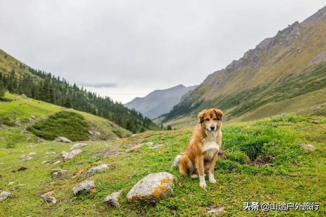 没有信号的120公里，徒步天山绝美乌孙古道，迷失在人间天堂