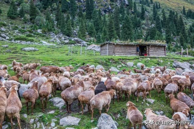没有信号的120公里，徒步天山绝美乌孙古道，迷失在人间天堂