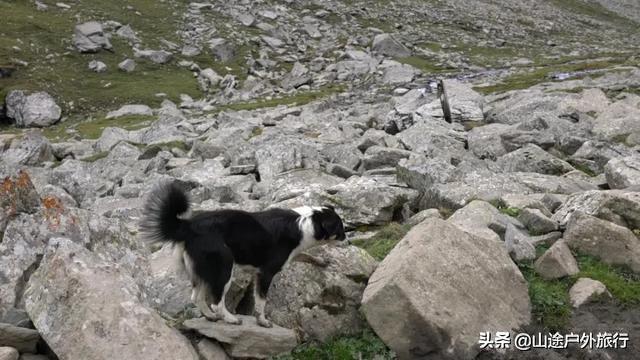 没有信号的120公里，徒步天山绝美乌孙古道，迷失在人间天堂