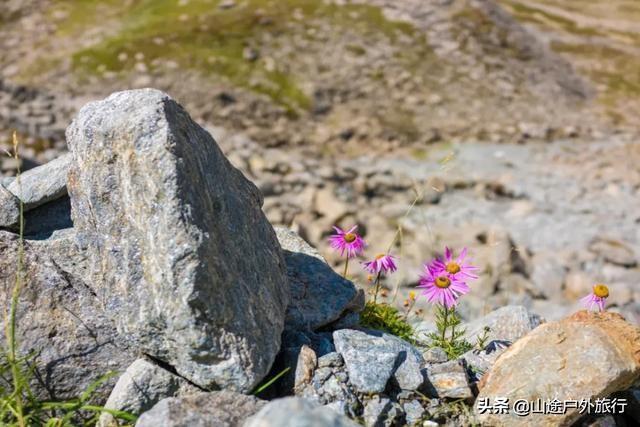 没有信号的120公里，徒步天山绝美乌孙古道，迷失在人间天堂