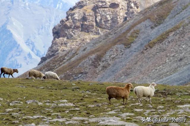 没有信号的120公里，徒步天山绝美乌孙古道，迷失在人间天堂