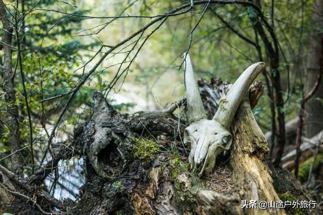 没有信号的120公里，徒步天山绝美乌孙古道，迷失在人间天堂