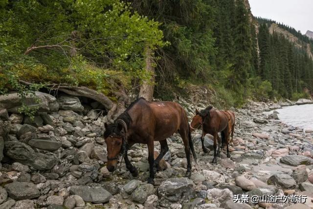没有信号的120公里，徒步天山绝美乌孙古道，迷失在人间天堂