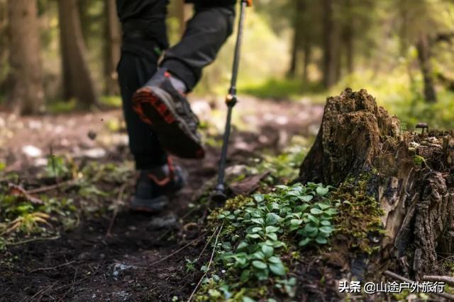 没有信号的120公里，徒步天山绝美乌孙古道，迷失在人间天堂