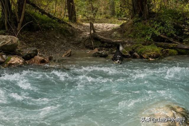 没有信号的120公里，徒步天山绝美乌孙古道，迷失在人间天堂