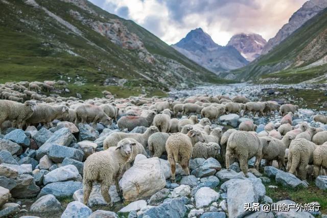 没有信号的120公里，徒步天山绝美乌孙古道，迷失在人间天堂