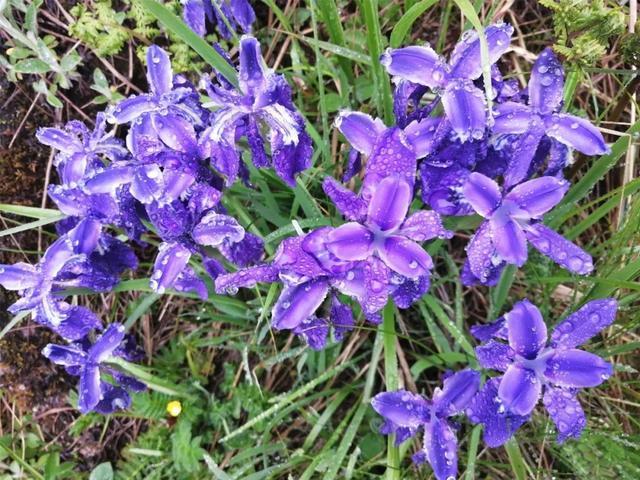 2人，124天，2155公里，中国徒步爱好者的殿堂级线路诞生了